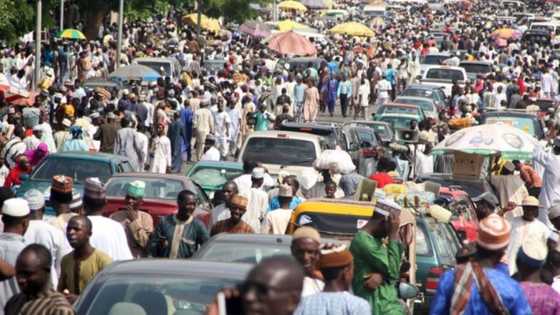 Unemployment in Nigeria increased to 23.10% within 4 months - Polls reveal