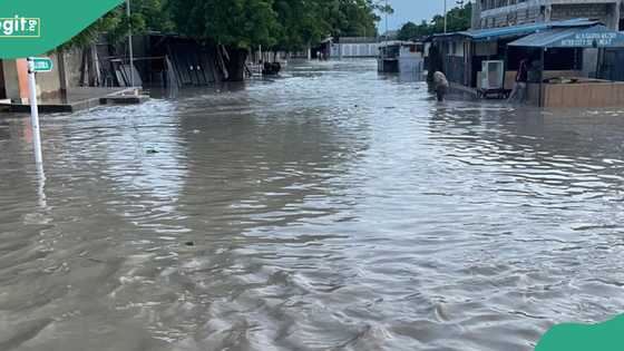 BREAKING: Heavy flooding in Maiduguri as Alau dambreaks down, Video emerges