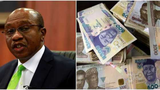 2023 election: Top Politicians with billions in cash move against Naira redesign, CBN reveals