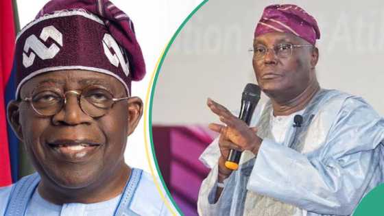 Atiku silent as Chicago State University releases Tinubu’s records