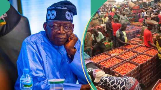 Transport, food, other price items to rise as inflation hits 27-year high in Nigeria