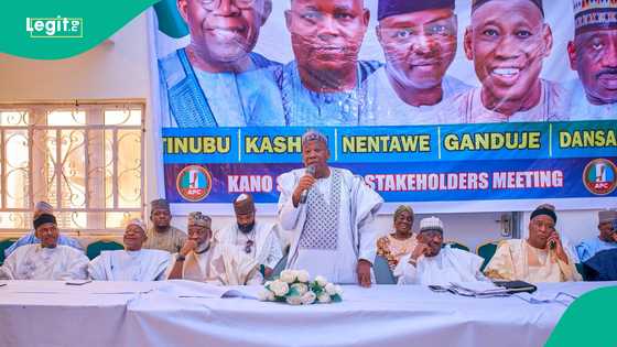 Kano APC leaders name who they will be backing for president in 2027