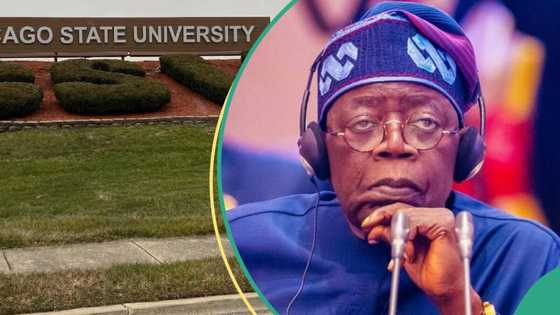 "Tinubu's certificate not fake", US don Kperogi lists 7 'facts' on president's CSU saga