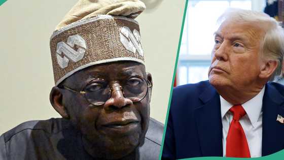 Tinubu's govt sends key message to Trump's administration as US set to deport several Nigerians