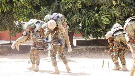 Soldier kills self after shooting 4 colleagues to death in Borno