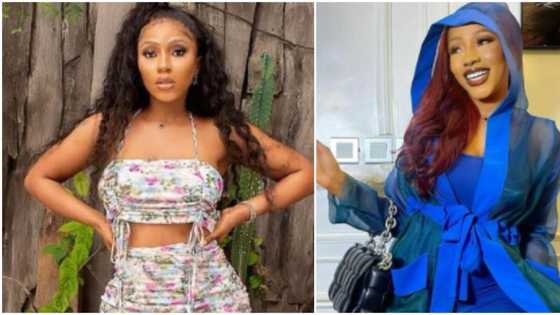 I'm the hardest to catch, ask any of my exes: Mercy Eke brags heavily, says she's golden fish not titus