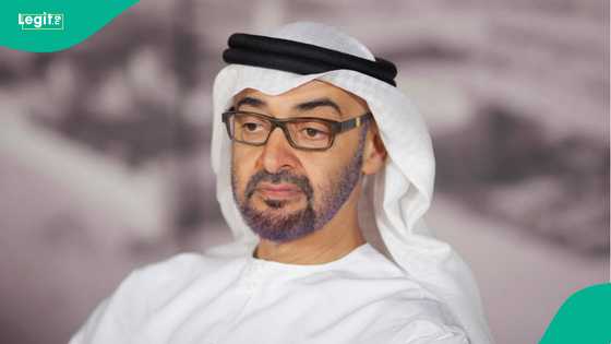 UAE issues new work visa requirement for African country, mentions key dates