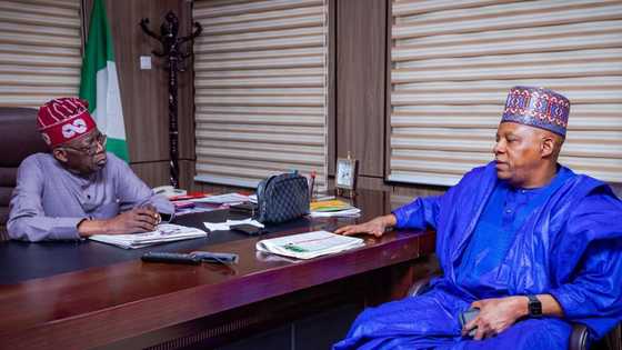 2023 presidency: Tinubu withdrawing from race on health grounds? Buhari's minister opens up