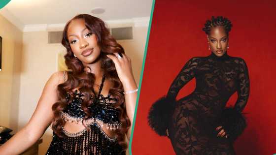 “Leave my backside alone”: Tems slams troll over body comment, speaks on years of online pressure