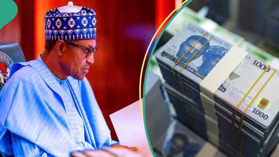 Bayan sauka mulki, Muhammadu Buhari ya faɗi manufa 1 tal da ta sa ya canza takardun naira a Najeriya