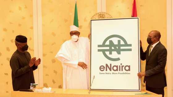 Breaking: eNaira speed wallet disappears from Google Play Store 48 hours after launch