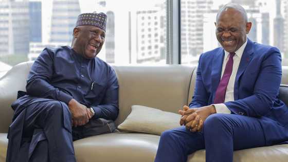 Rabiu, Elumelu Align on Capital and Industrial Expansion as BUA Foods Posts N1.77trillion Revenue