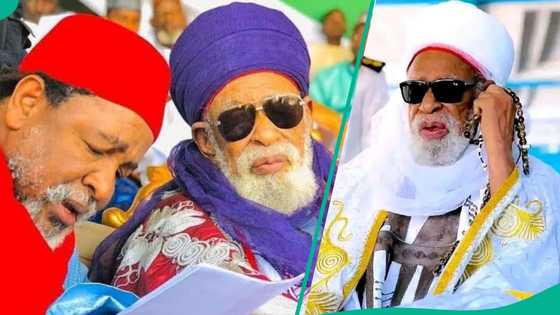 Hardar Kur'ani: Sheikh Dahiru Bauchi da zuriyarsa sun kafa tarihi a duniyar Musulunci