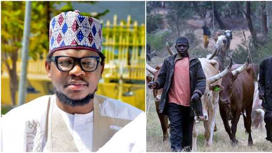 Cattle more valuable than oil and gas - Ex-presidential aspirant declares