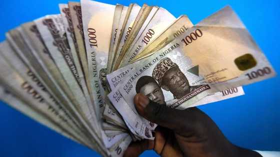 Bidiyo: Wani Mutum Ya Fallasa Sabuwar Dabarar Da Ake Amfani Da Shi Wajen Damfarar Mutane Kudi