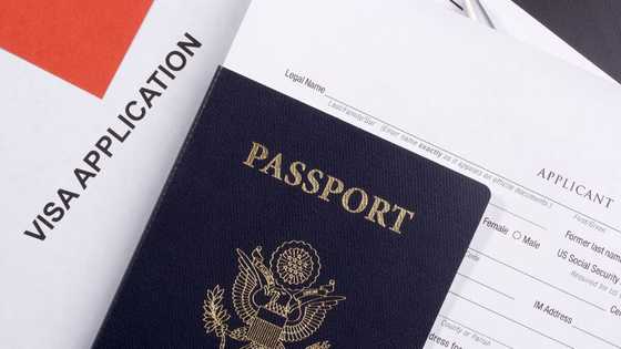 UK updates immigration policy for Nigerians applying for study and work visas, what you should know