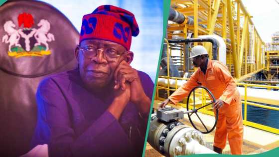 President Tinubu set to become Minister of Petroleum just like Obasanjo, Buhari, splits ministry into 2