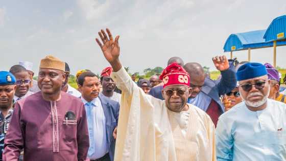 Adebanjo insists Afenifere is supporting Peter Obi, dismisses Bola Tinubu