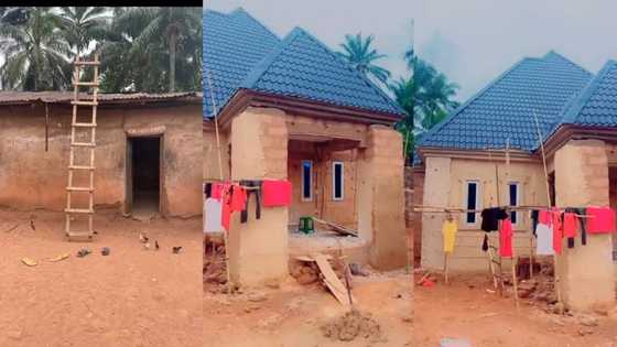 "God is great": Nigerian man makes it, breaks down old house in his father's compound, builds new one in video