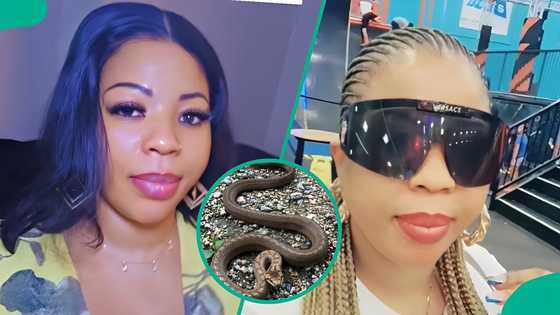 Nanyah: Nigerian lady whose 6-year-old nephew was bitten by a snake shares what saved him
