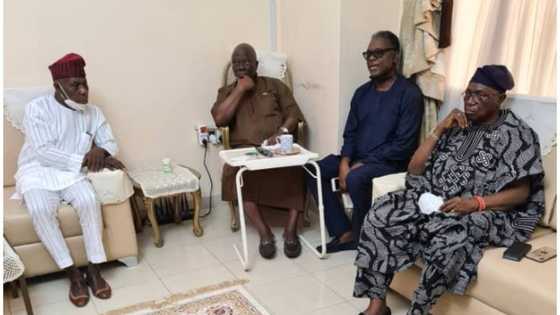 2023: Afenifere dumps southwest aspirants, backs southeast for presidency
