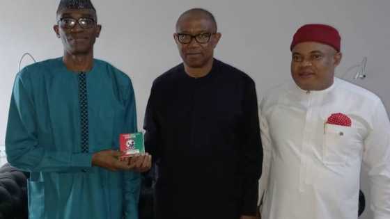 2023: Peter Obi’s flag bearer status in doubt as LP faction files lawsuit