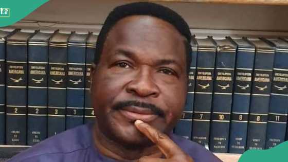 Kidnappers of Mike Ozekhome sentenced to 20-year imprisonment
