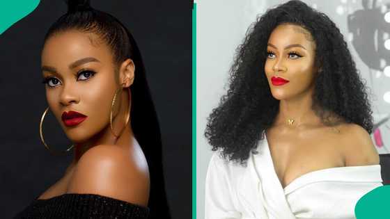 Damilola Adegbite opens up about love after failed marriages: “Am I dreaming?”