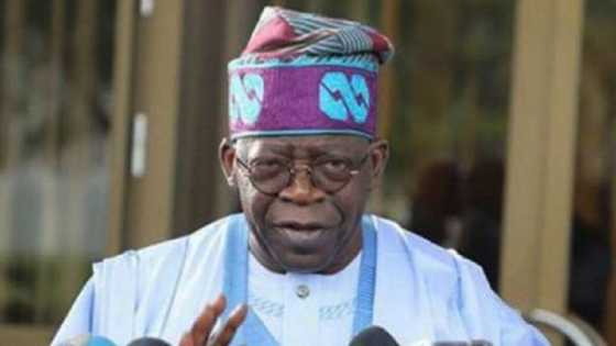 2023: Jerin Wadanda Ake Ganin Tinubu Zai Iya Dauka A Matsayin Mataimakansa