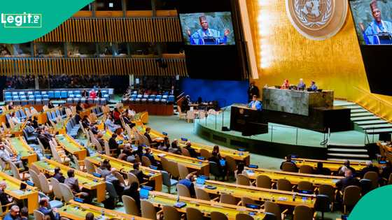 UNGA80: Abubuwa 7 masu muhimmanci da Shettima ya gabatar a taron Majalisar Dinkin Duniya