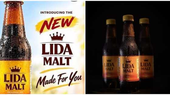 Rite Foods unveils LIDA Malt Beverage Drink Brand, distinctively “Made for You”