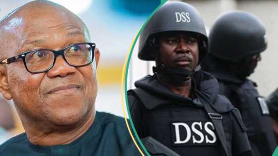 JUST IN: Aide debunks DSS' alleged arrest of Peter Obi, wife