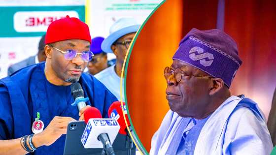 "The president has tried": Deputy Speaker Kalu mentions major achievements of Igbos under Tinubu