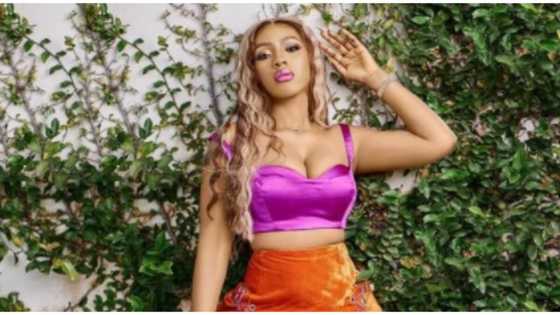BBNaija's Mercy Eke stuns in purple and orange ensemble as she marks 28th birthday