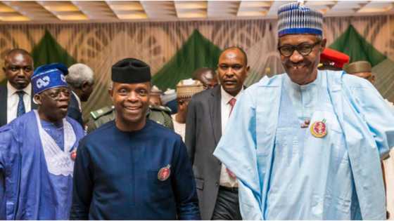 2023: After Atiku's victory, trouble lurks for Tinubu, Osinbajo as Buhari gets call on APC consensus candidate