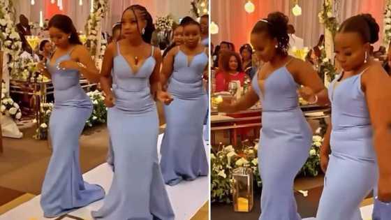 Video of curvy bridesmaids in fitted dresses goes viral with over 1M views online, leaves many drooling