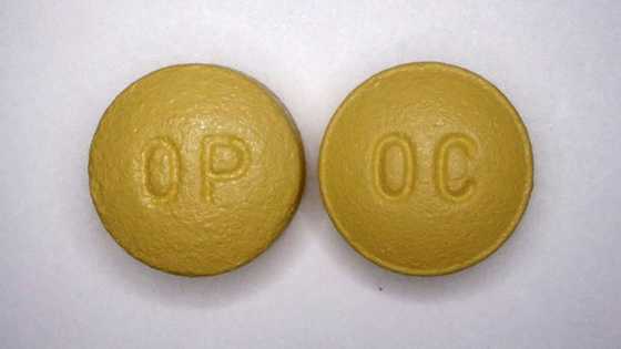 Sacklers, Purdue to pay $7.4 bn over opioid crisis: NY state