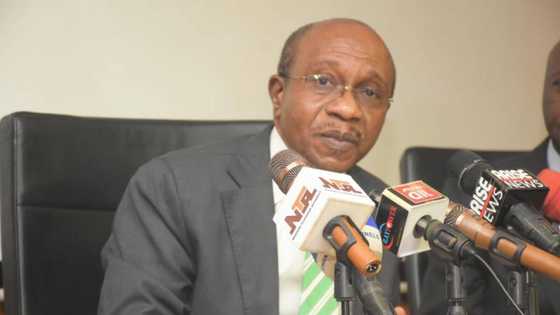 DSS wants CBN Governor Emefiele arrested for terrorism charges? Tension as CSOs make sensitive allegation