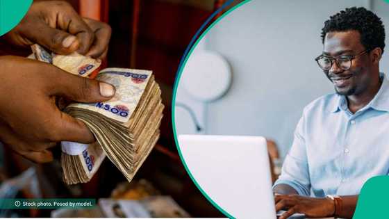 YEIDEP: FG announces batch B recruitment date, N500,000 business funding up for grabs