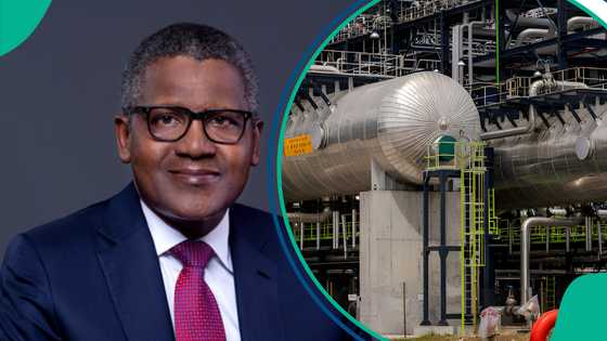 Aliko Dangote urges FG to penalise inactive refinery license holders