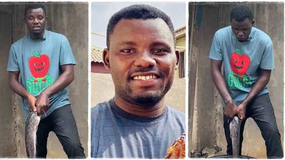"I started with 100 fishes": Auchi Poly graduate becomes successful fish farmer after starting small