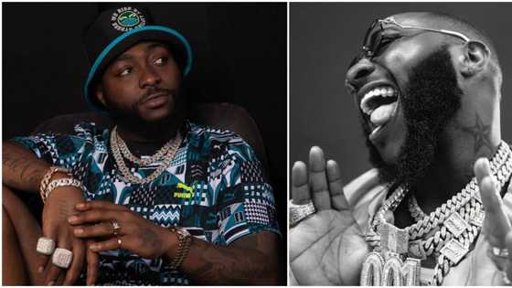 "Meet and greet in UK, NYC”: Davido releases official PUMA merch days after 30BG viral shirt printing video