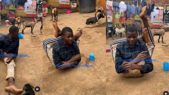 "He is too flexible": Reactions as young boy displays amazing yoga skills in viral video