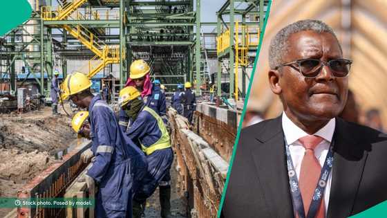 Job alert: Dangote announces over 50 new job vacancies, SSCE holders accepted