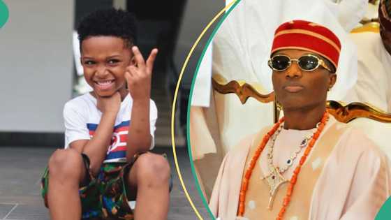 Heartwarming moment as Wizkid brings out son Zion on stage at Hollywood Bowl concert in Los Angeles