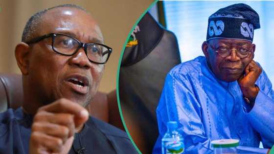 Hukuncin kotun koli: An ba Peter Obi shawarar abin da ya kamata ya yi wa Shugaba Tinubu