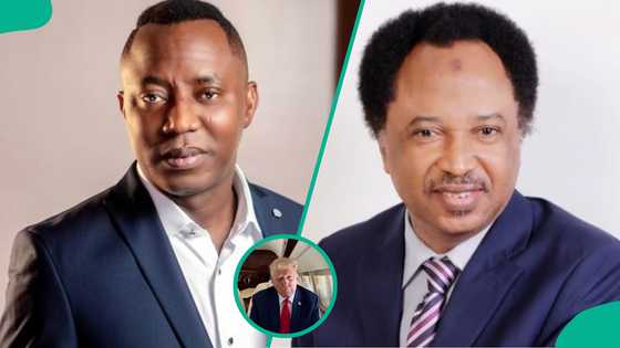 Shehu Sani, Sowore react to US air strike in Sokoto