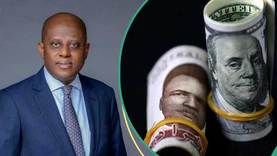 CBN MPC member predicts naira to strengthen to N1,400/$1 by end of 2025