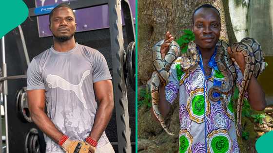 Snake expert shares 7 quick steps to take when bitten by snake: "Remove anything tight"