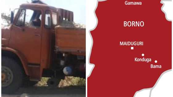 Borno: Matasa Sun Balle Zanga-zanga Sakamakon Mutuwar Mata 6